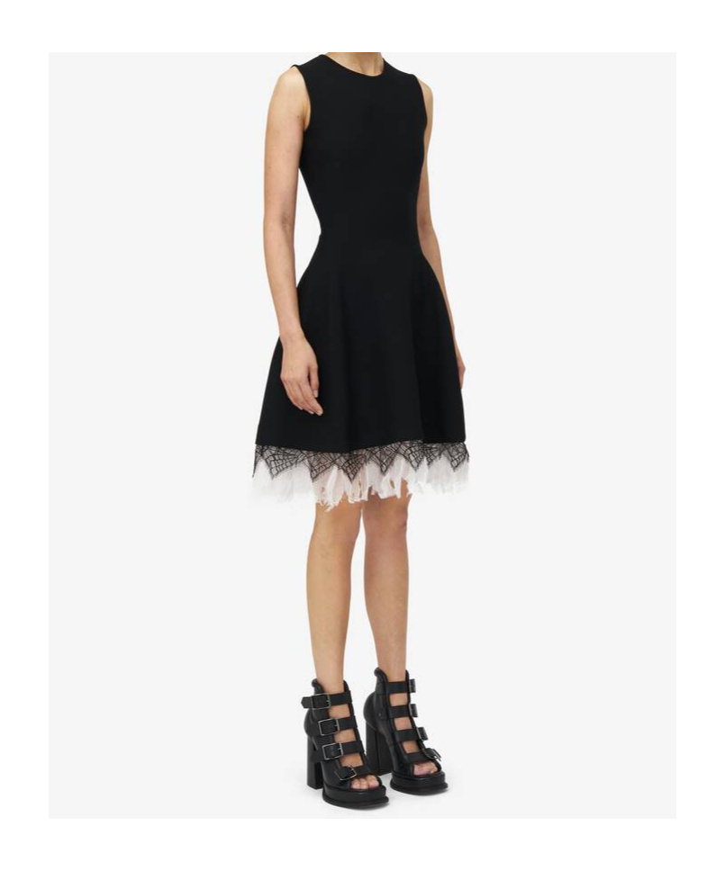 Shop Alexander Mcqueen Cobweb-lace Mini Dress In Black