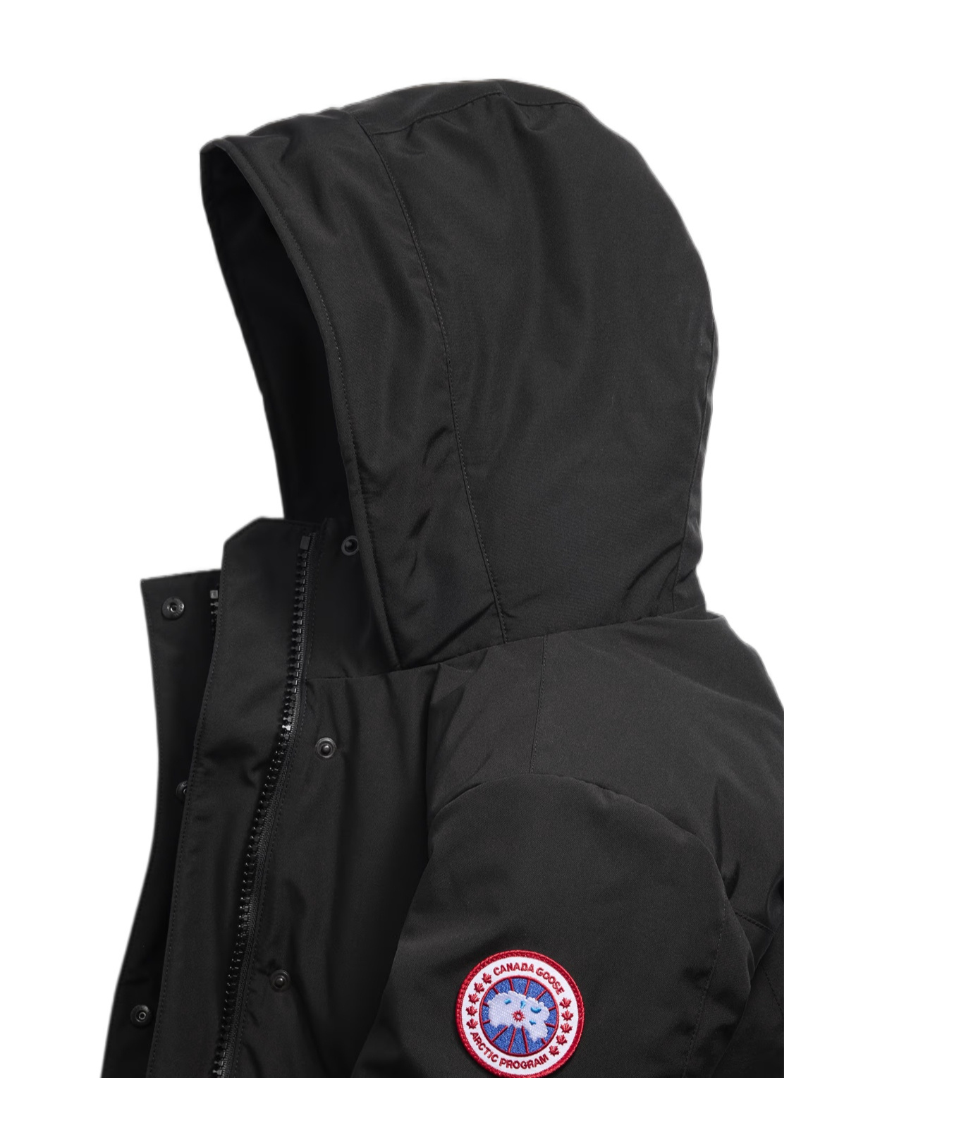 Canada Goose Leslie Hooded Down Parka In Black