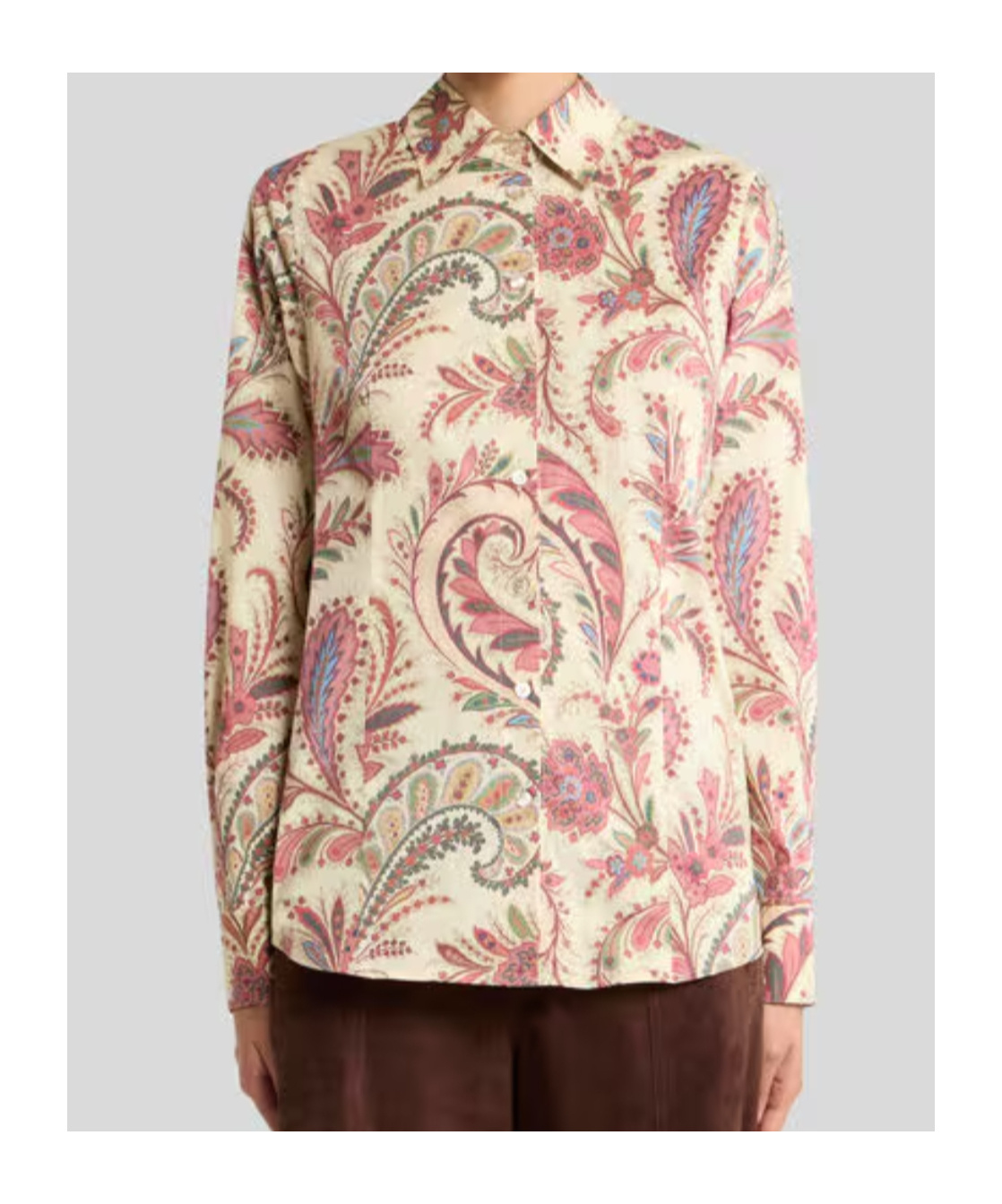 Etro Printed Poplin Shirt In Neutral