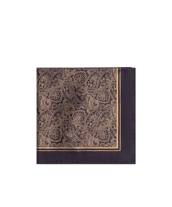 Etro Paisley Printed Square Scarf In Brown