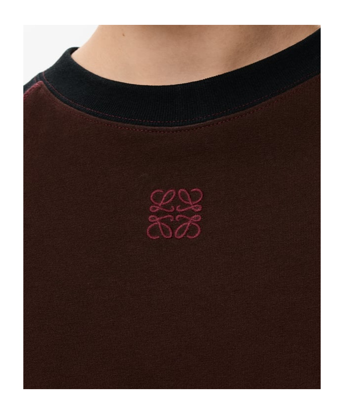 Loewe Small Fit T-shirt In Cotton Blend In Brown