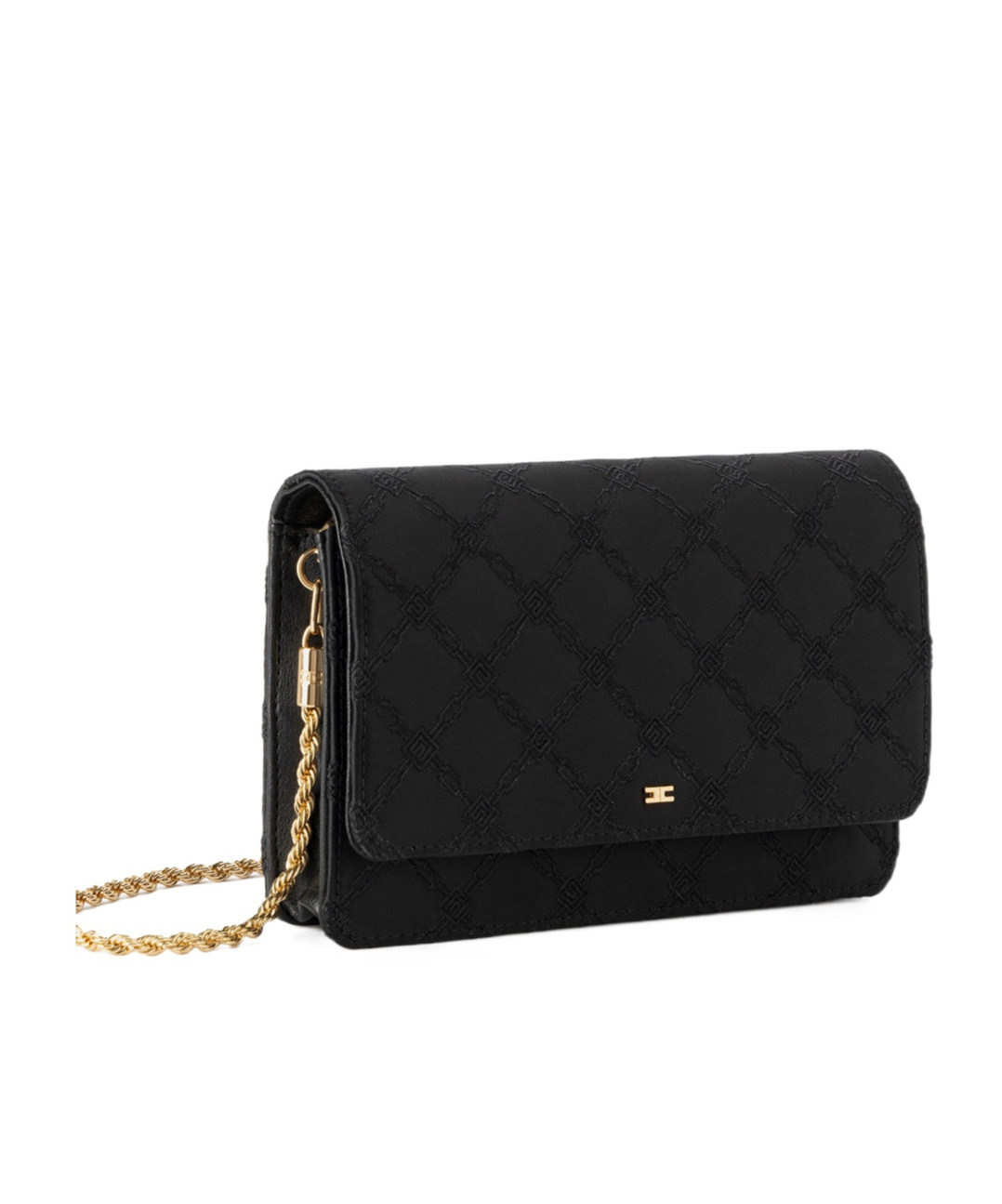 ELISABETTA FRANCHI EMBROIDERED CLUTCH BAG