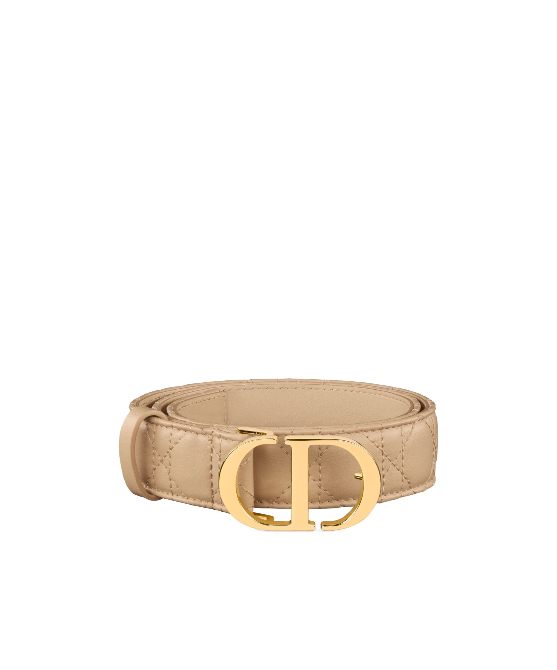Dior 30 Montaigne Belt In Nude
