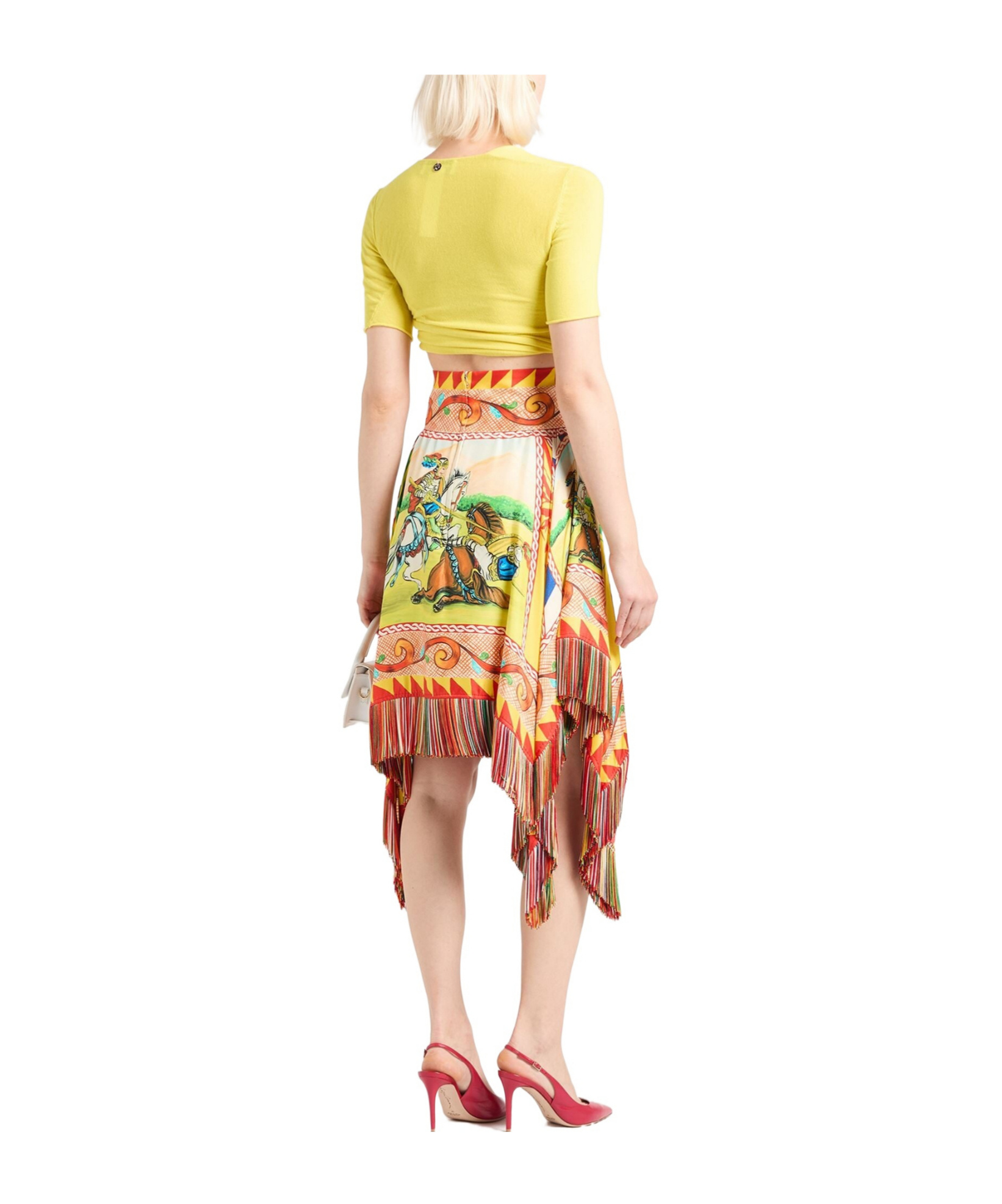 Dolce & Gabbana Mini Skirts In Multicolor