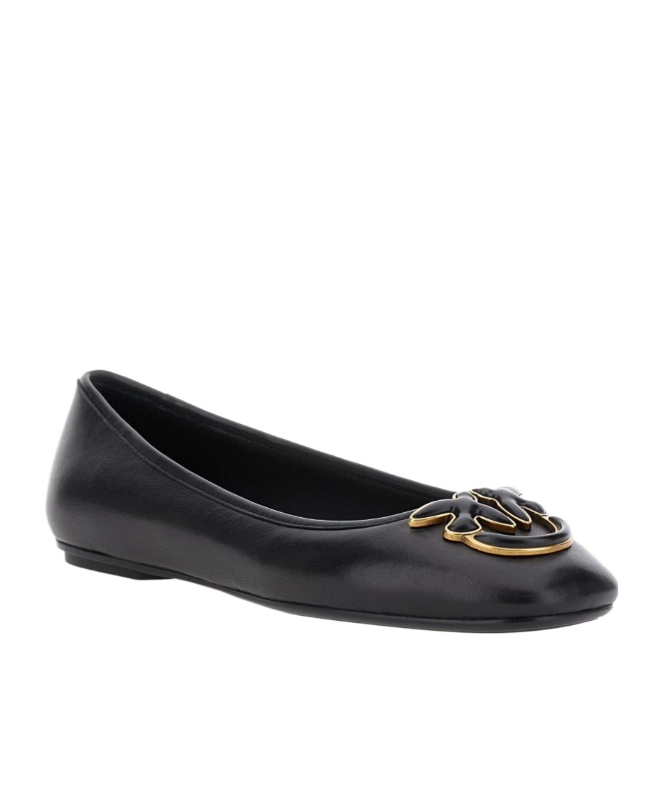 Pinko Pointed-toe Flats In Black