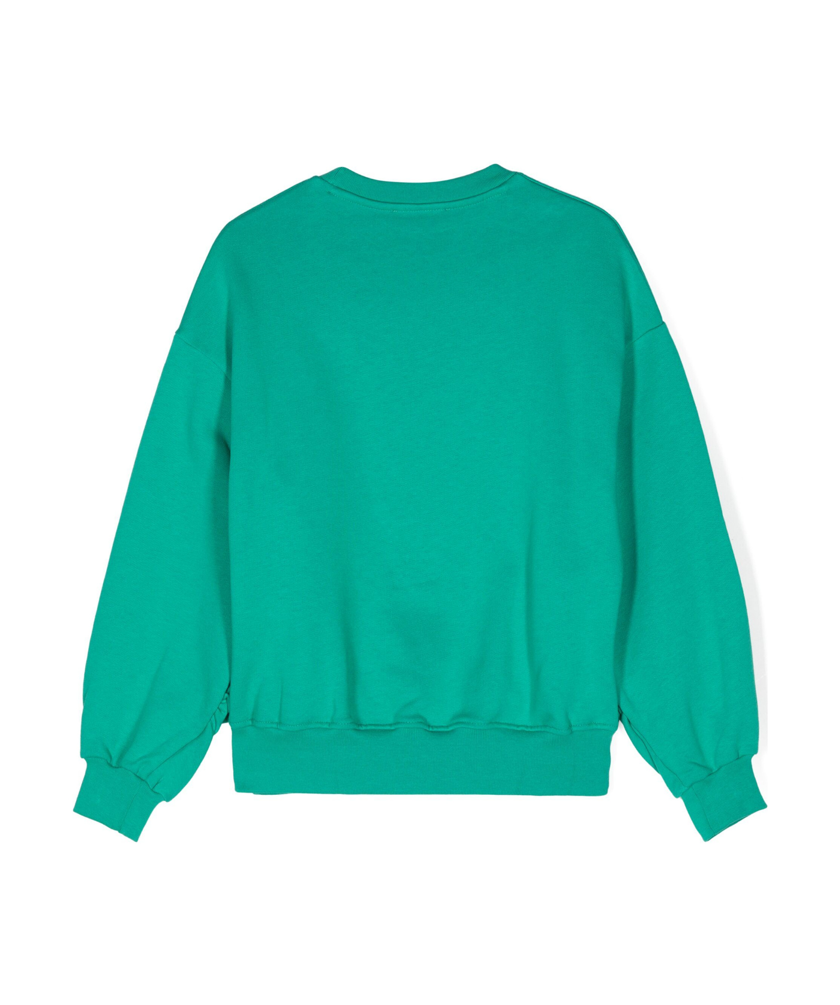 Shop Msgm Flocked-logo Cotton Sweatshirt In Green