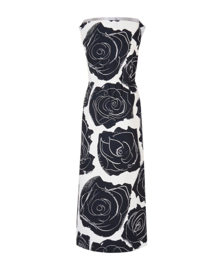 Marni Cybele Print Cotton Poplin A-line Dress In Multi