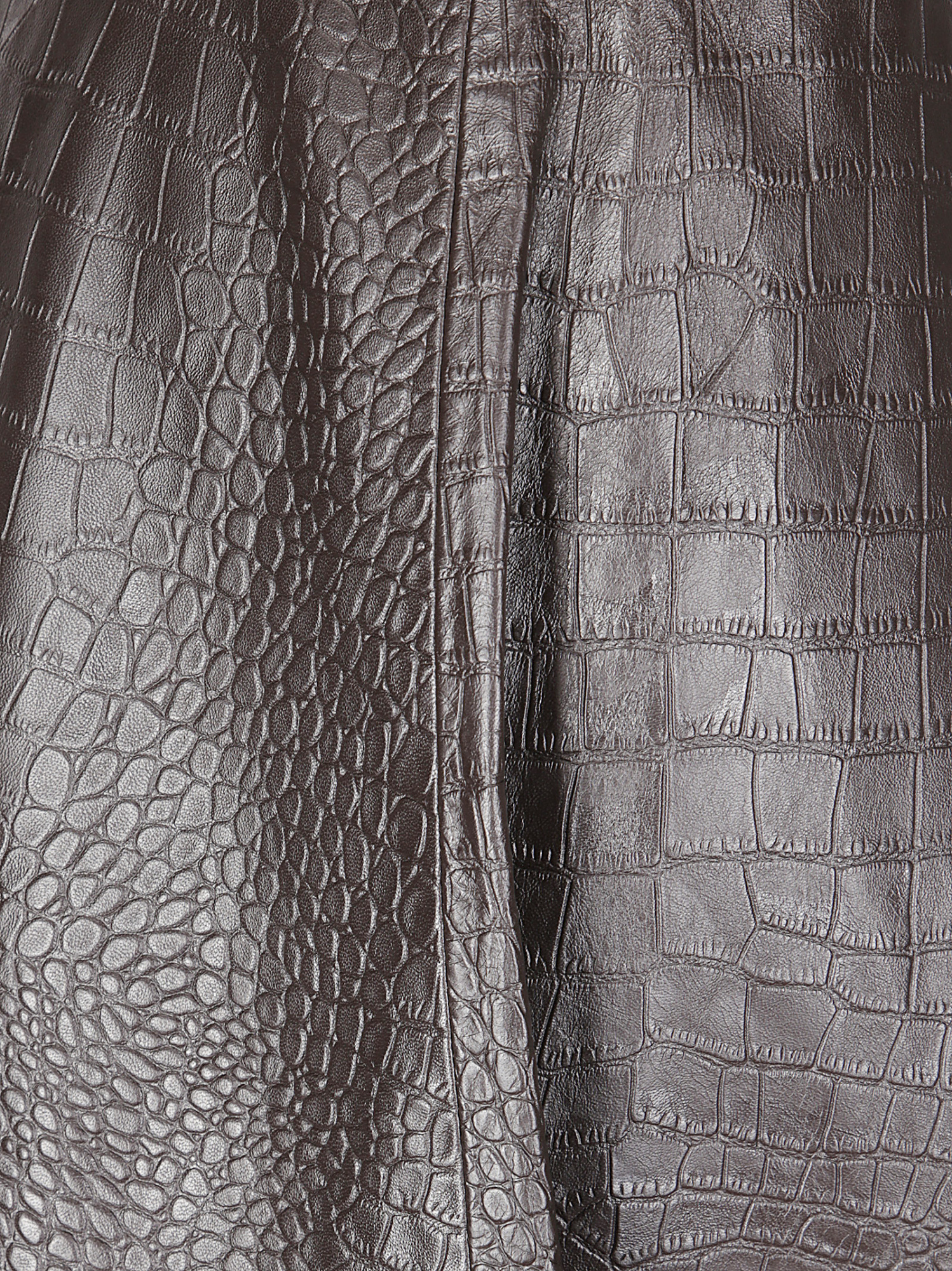 Rohe Crocodile A-line Skirt In Brown