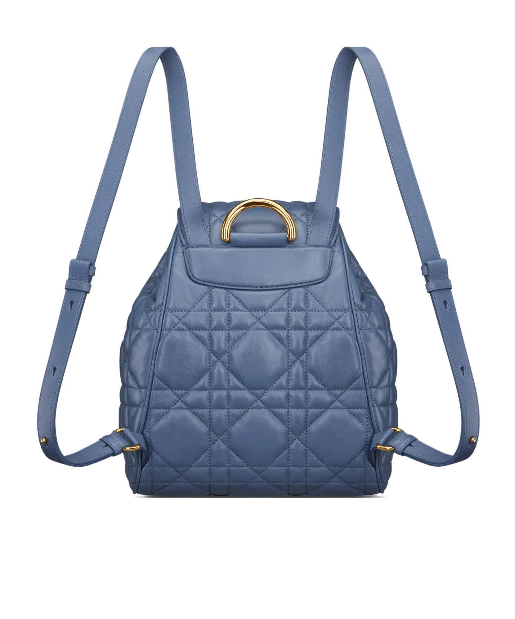 Dior Caro Medium Backpack In Blue