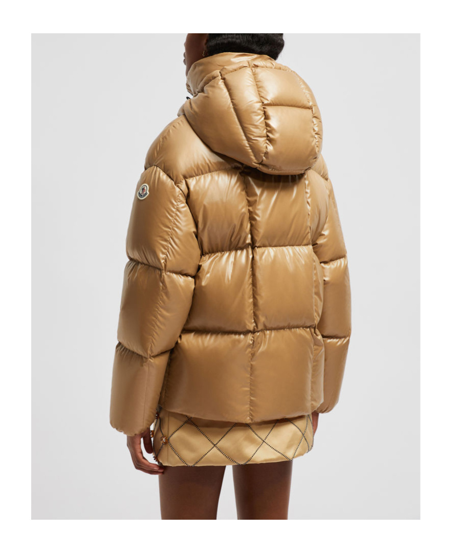 Shop Moncler Parana Puffer Jacket In Brown