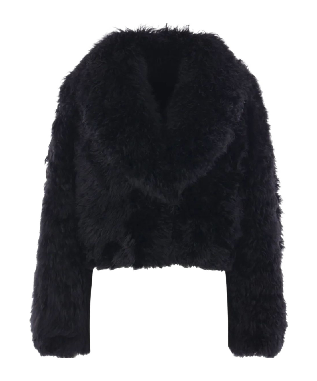 Blancha Long-sleeved Casual Jacket In Black