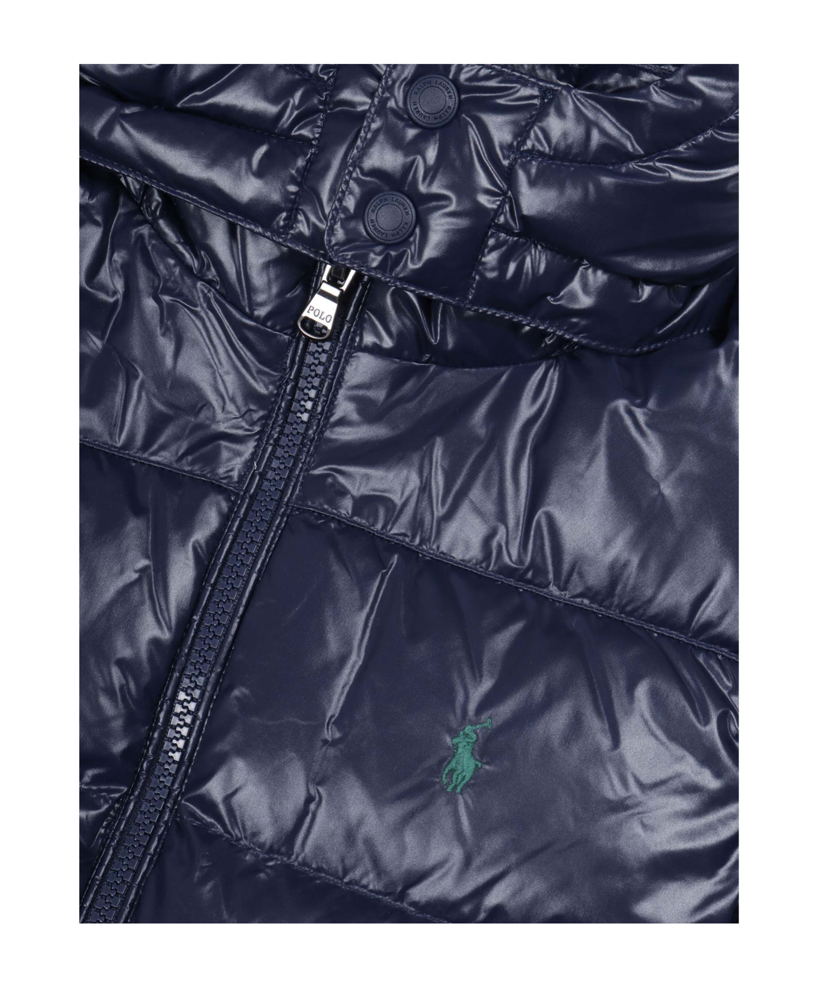 Polo Ralph Lauren Padded Hooded Jacket In Blue