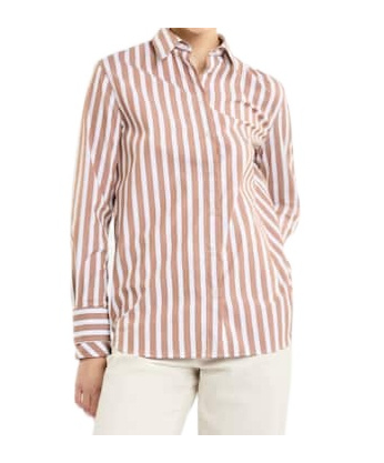Fay Classic Striped Long-sleeve Shirt With Wing Collar In Brown