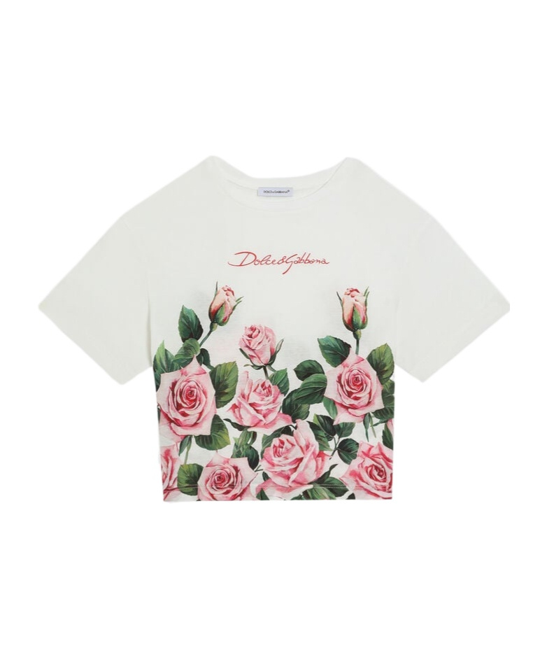 Dolce & Gabbana Rose-print T-shirt In White