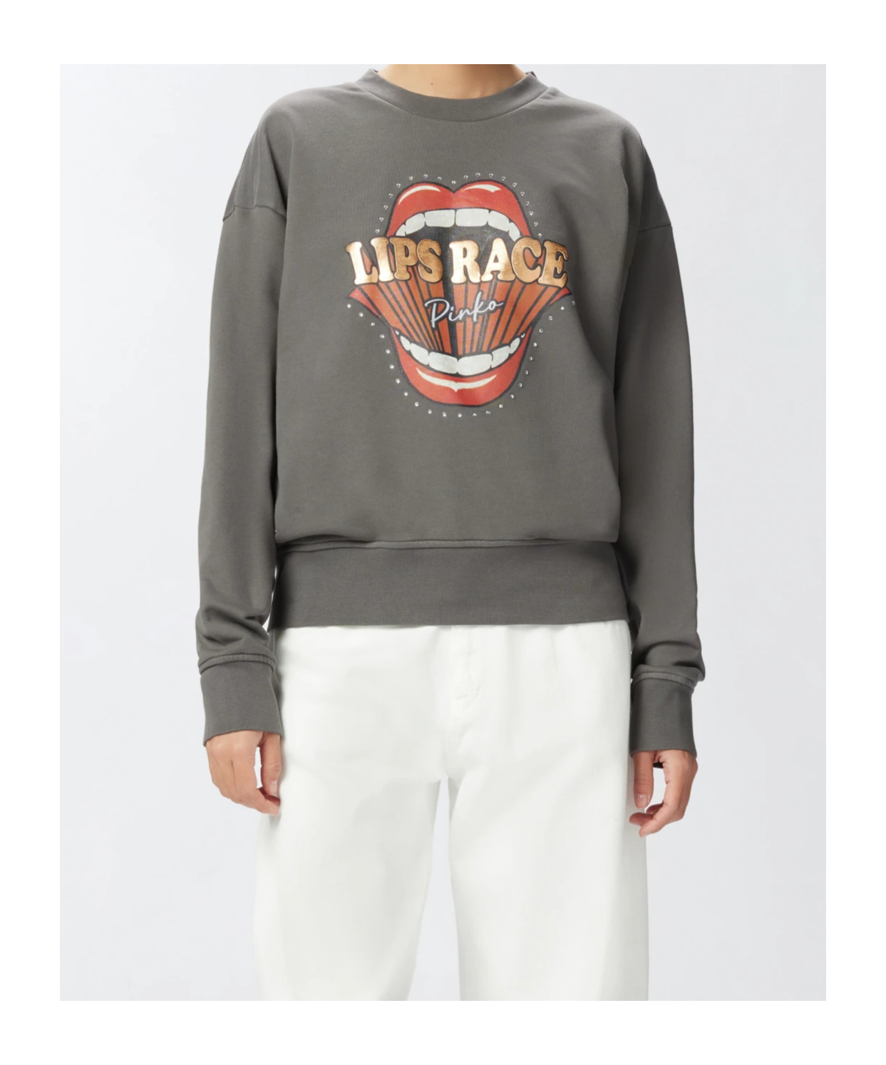 Pinko Graphic-print Sweatshirt In Gray