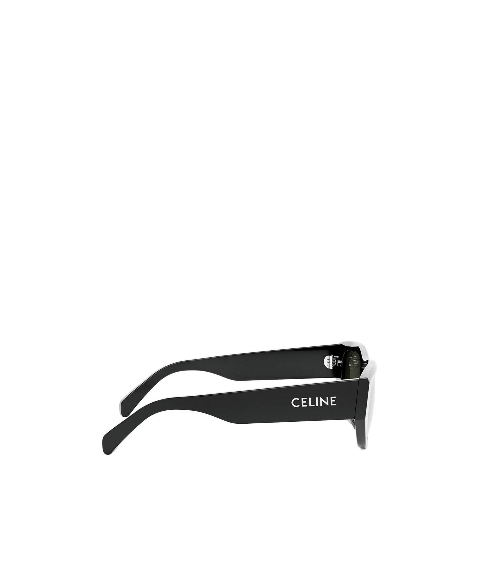 Celine Monochroms Acetate Cat-eye Sunglasses In Black
