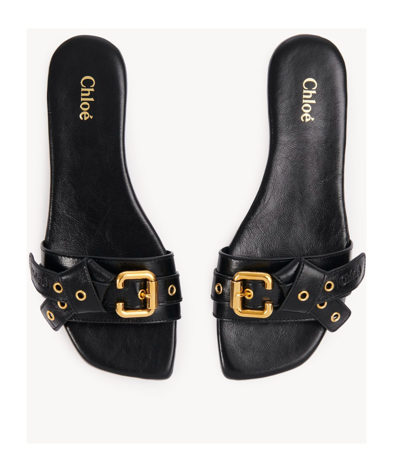 Chloé Square Toed Slippers In Multicolor