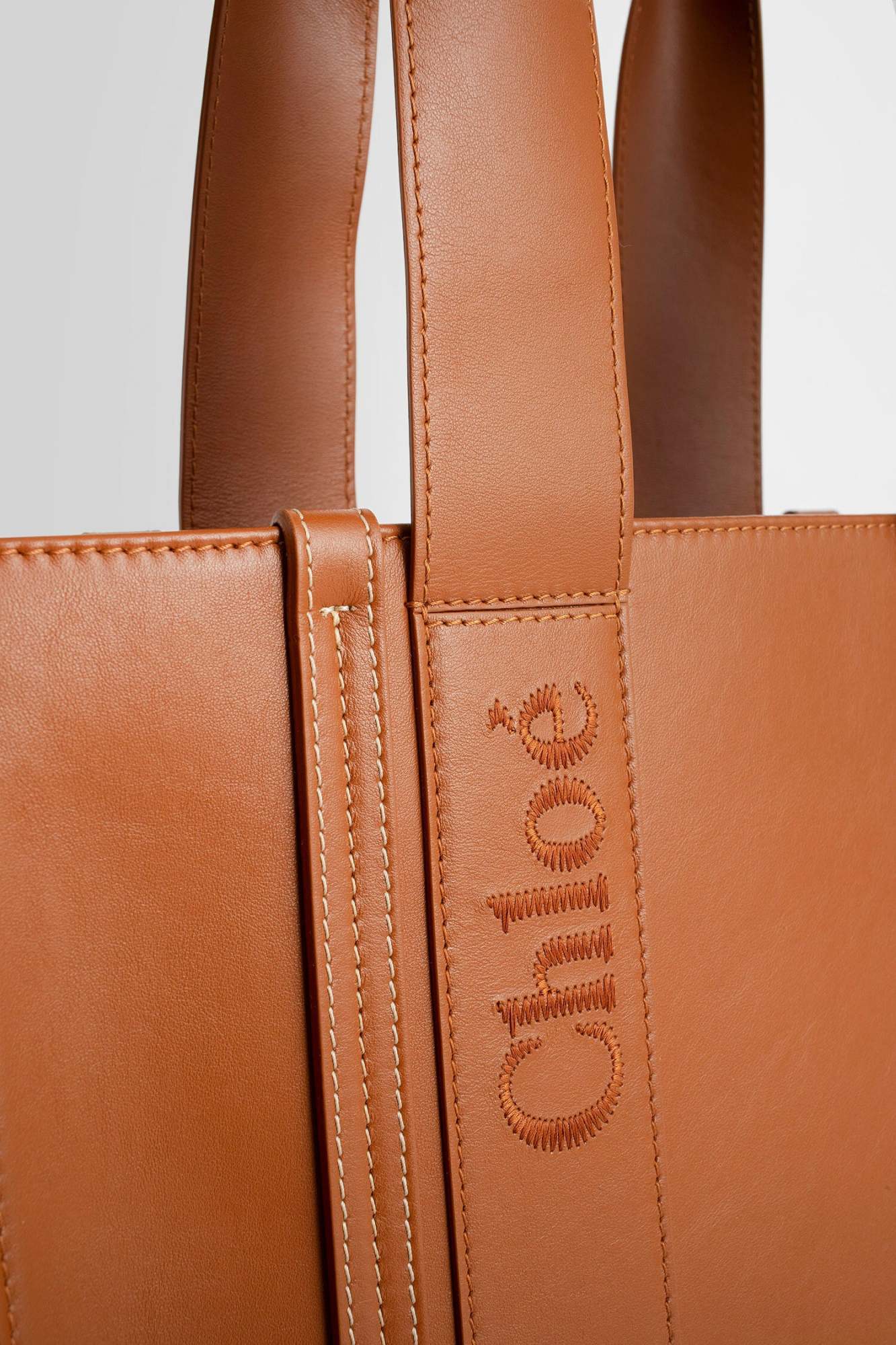 Chloé Woody Medium Embroidered Leather Tote In Brown