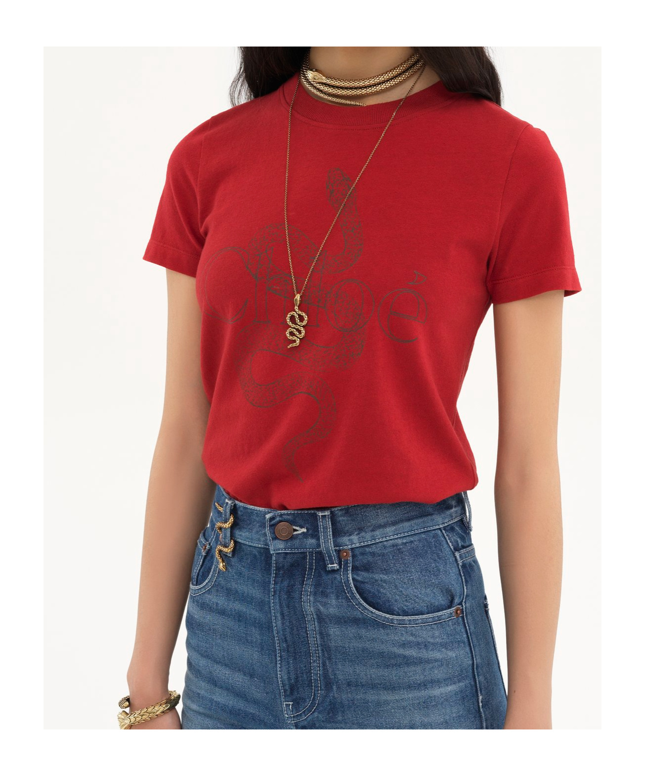 Chloé Snake Printed Crew Neck T-shirt In Red