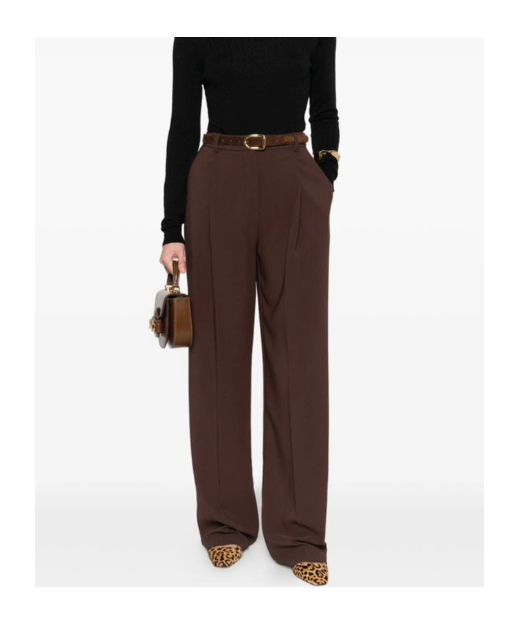 Elisabetta Franchi Pleated Trousers In Brown