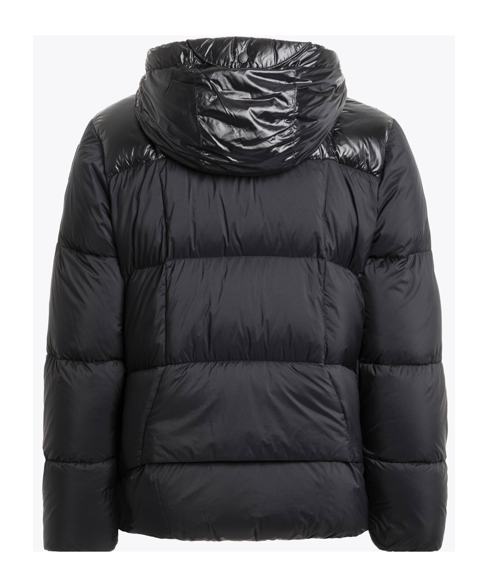 Parajumpers Sento Jacket In Black