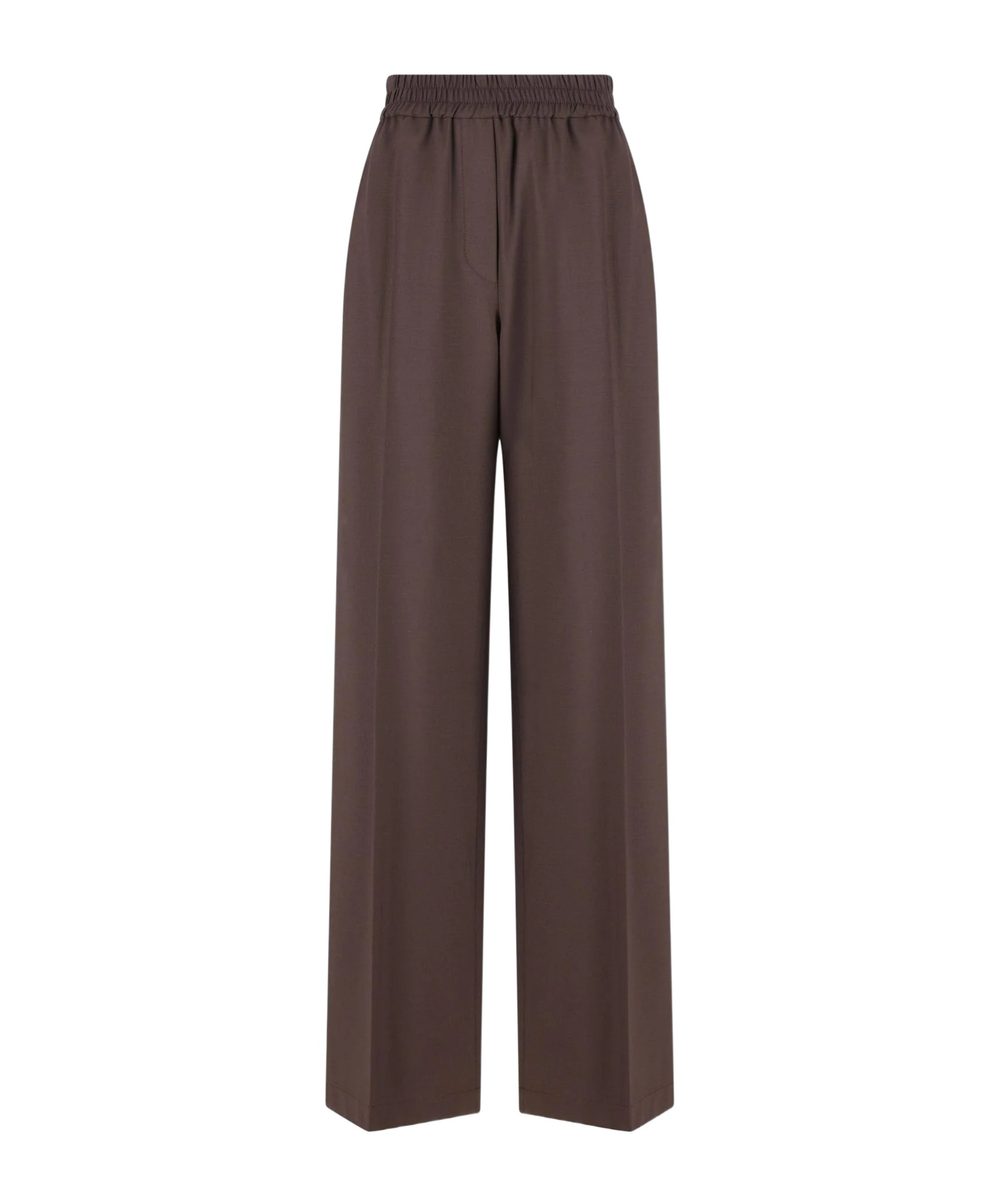 Brunello Cucinelli Elastic Waist Casual Pants In Brown