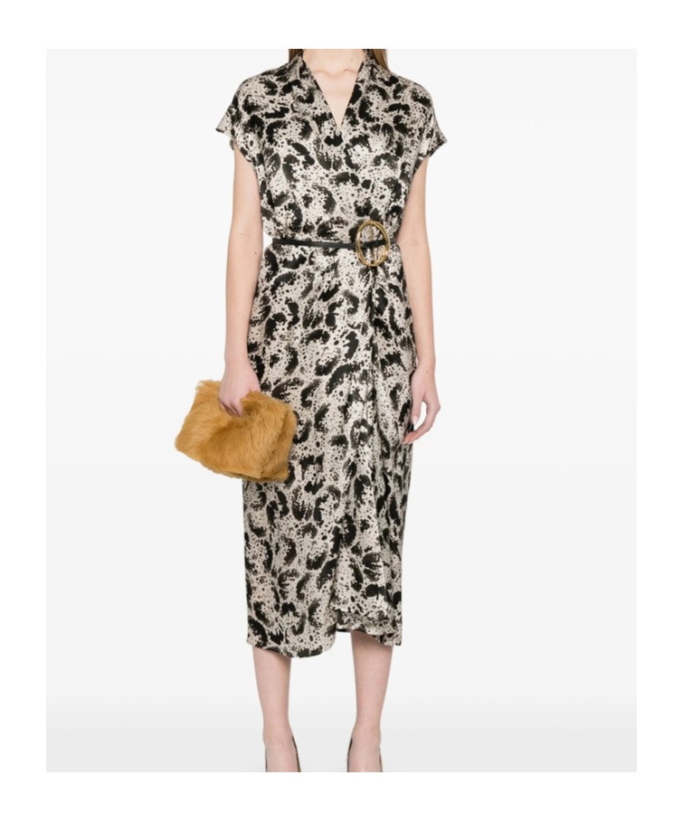 Dries Van Noten Dilian Printed Midi Dress In Nude