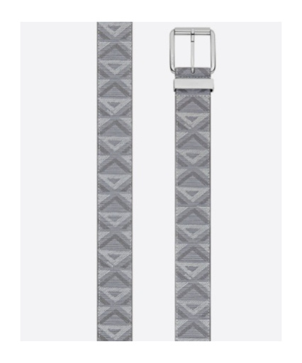 Dior Cd Pattern Belt In Gray