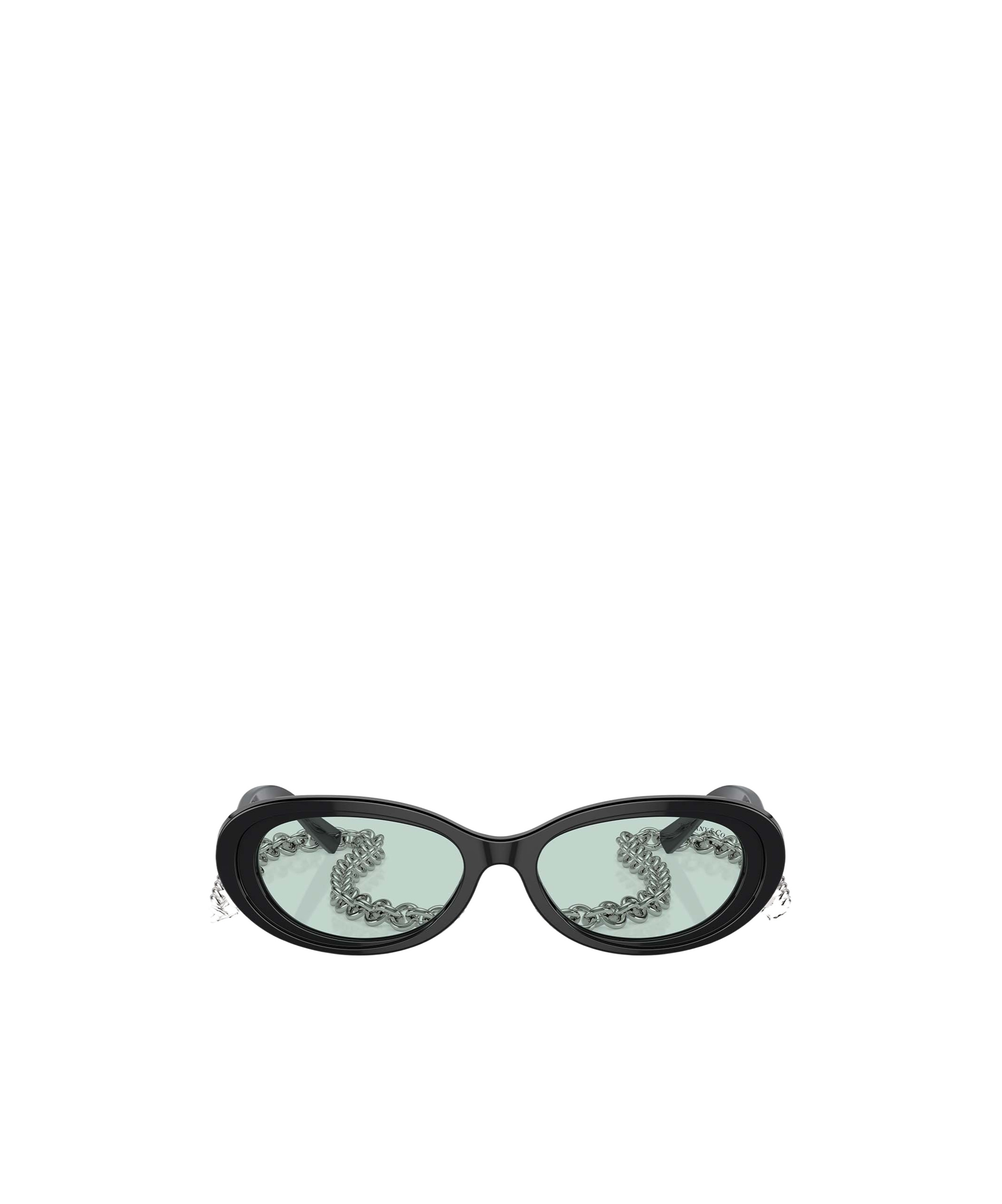 Tiffany & Co Full Frame Sunglasses In Black