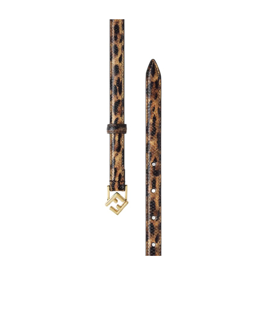 Fendi Multicolor Karung Belt In Brown