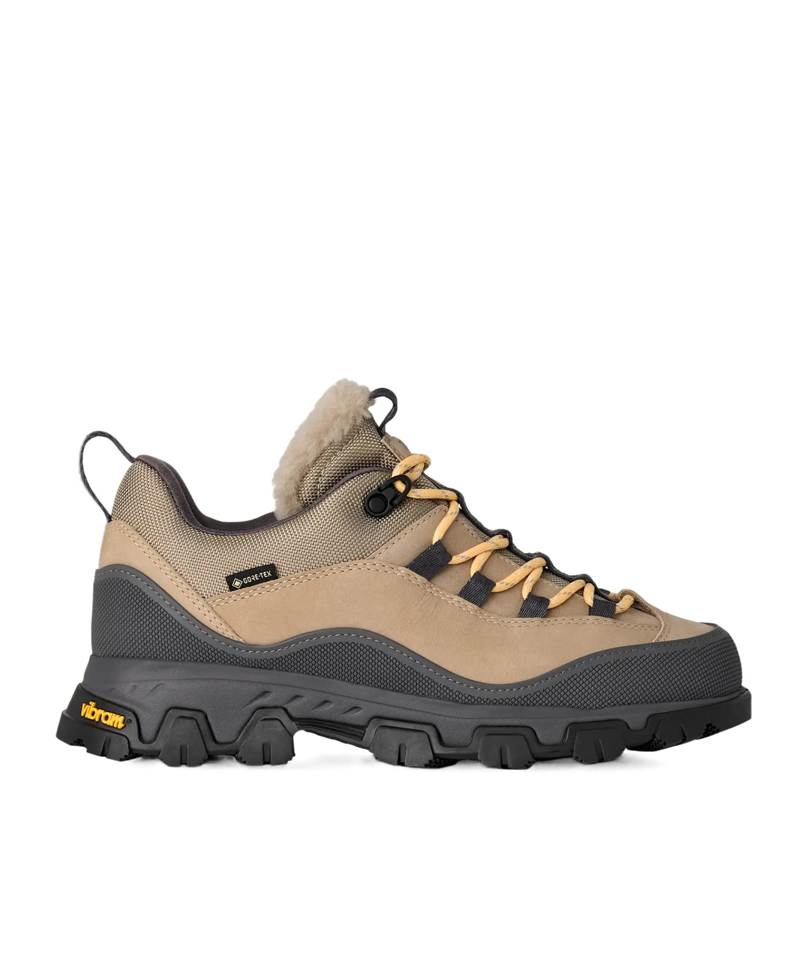 Ugg Lace-up Sneakers In Multi
