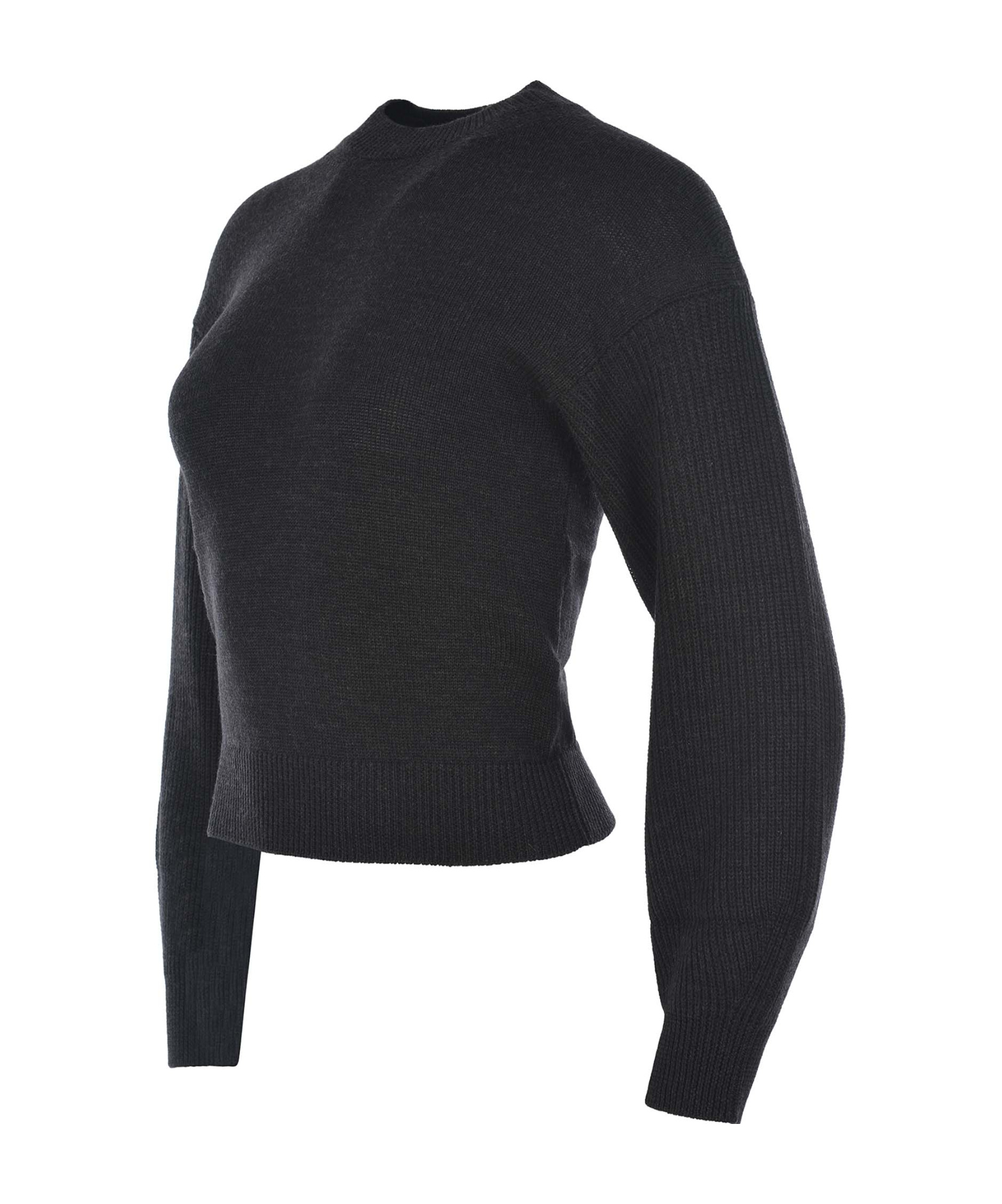 Max Mara Leisure Crewneck Long-sleeved Jumper In Black