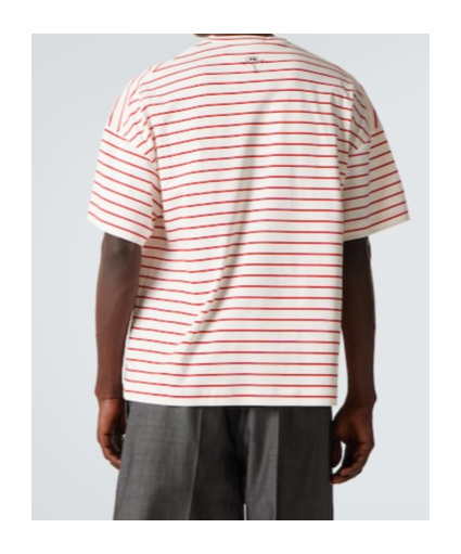 Plan C Striped T-shirt In White