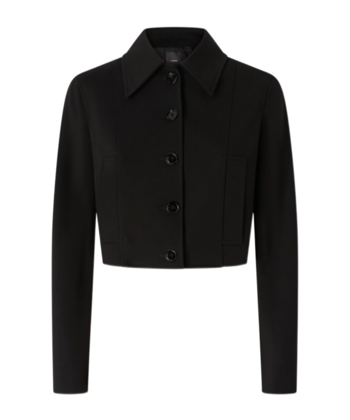 Pinko Doccia Jacket In Black