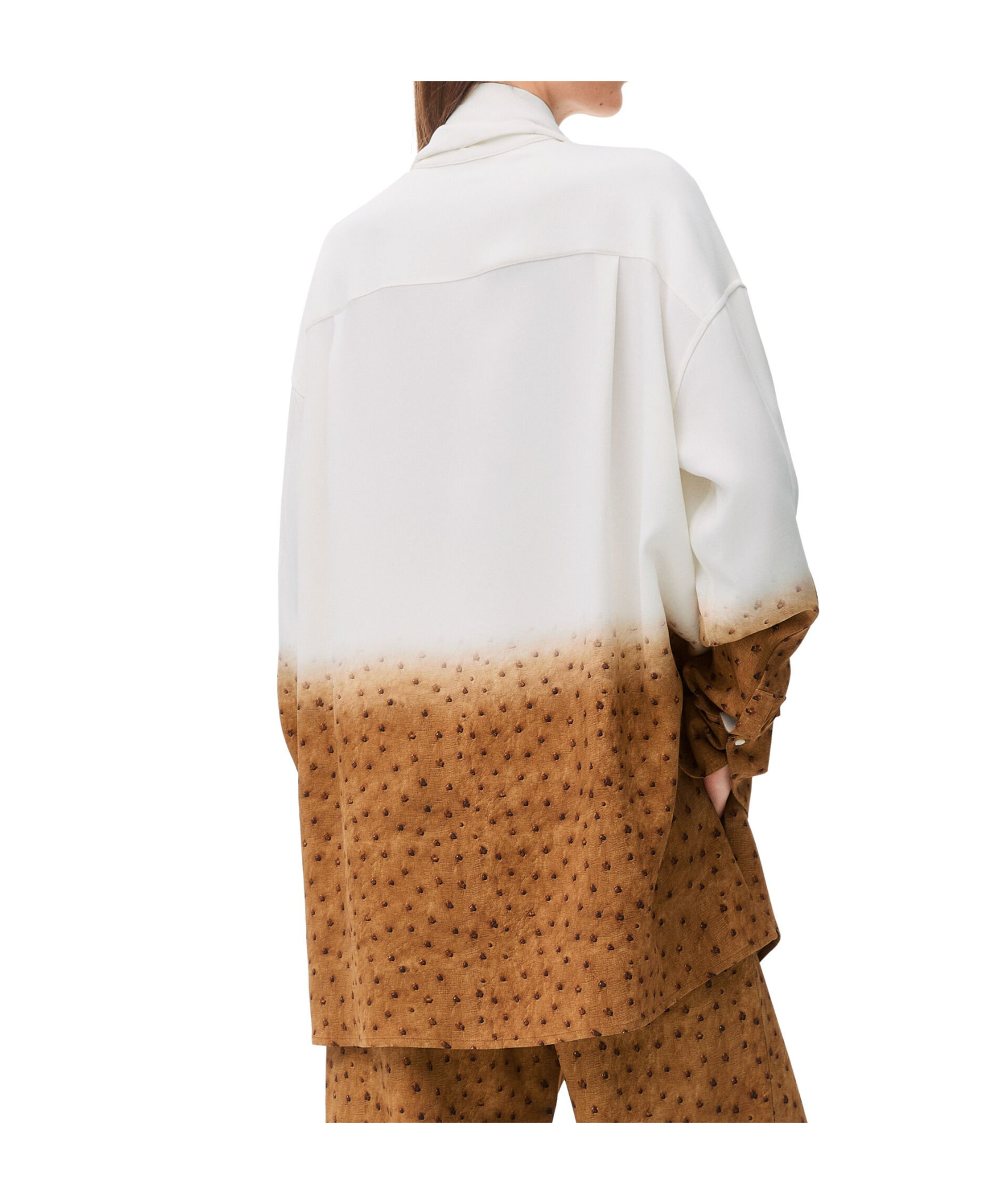 Loewe Camicia In Crepe Stampato Donna In Brown
