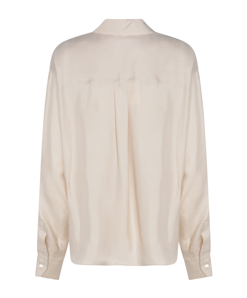 Antonelli Button-down Long-sleeved Shirt In Brown