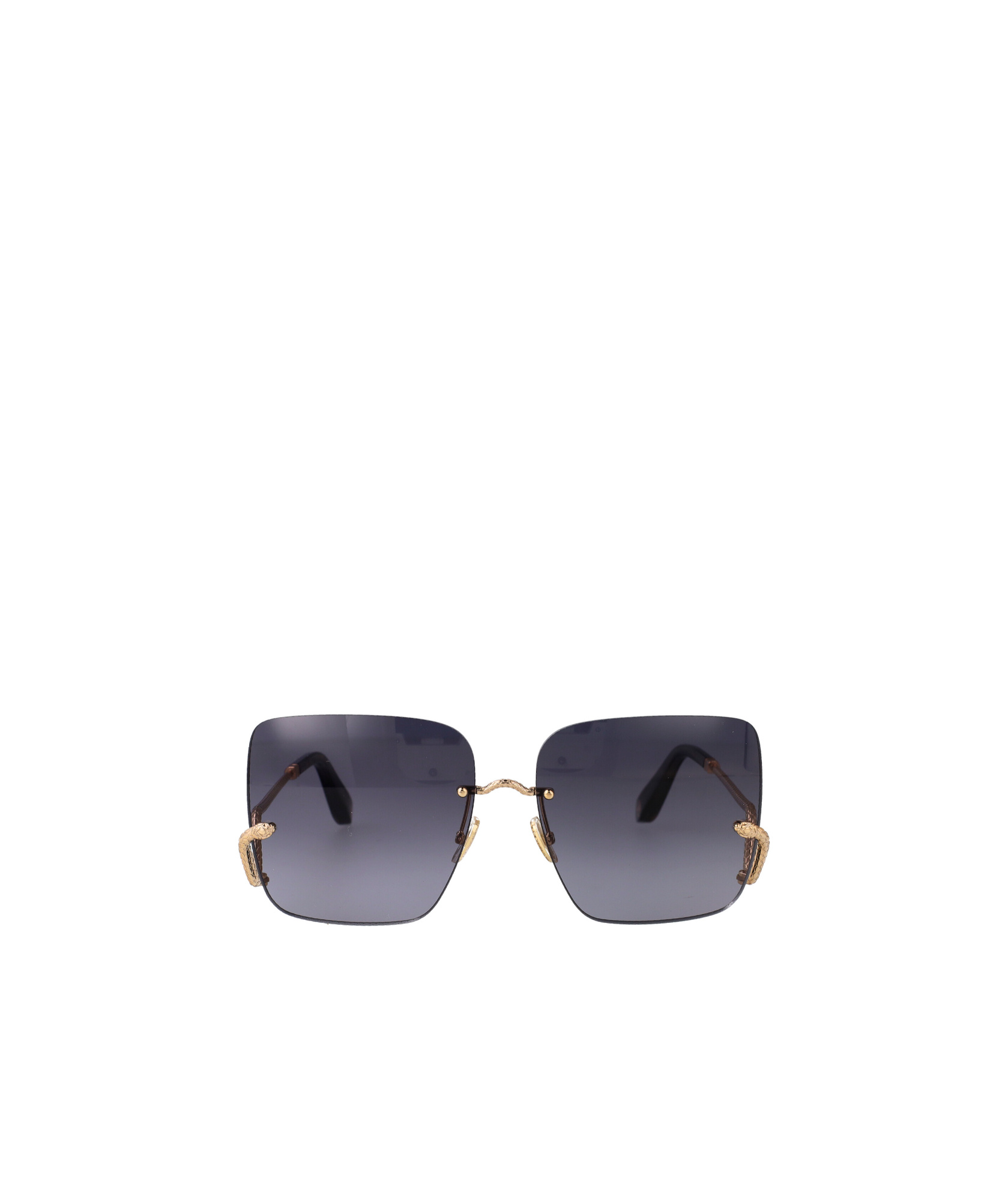 Roberto Cavalli Src061 Sunglasses In Gray