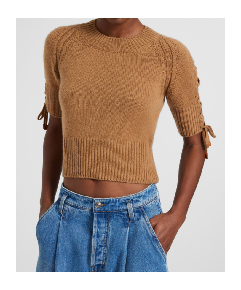 Ermanno Scervino Short-sleeve Sweater In Pure Cashmere With Side Braid Detail In Brown