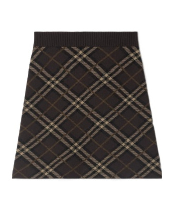 Burberry Embroidered Stretch Wool Blend Mini Skirt In Brown