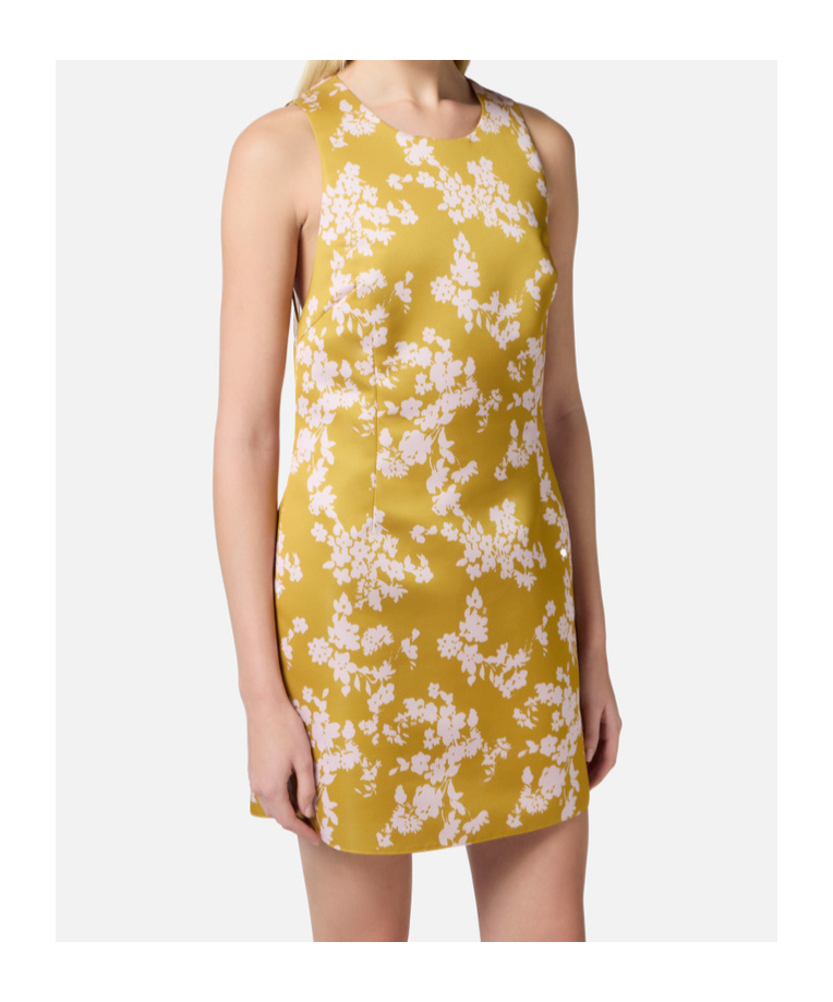 Elisabetta Franchi Dress In Yellow