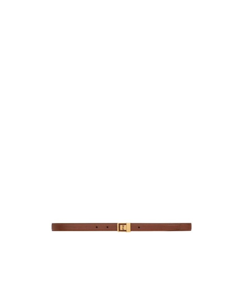 Saint Laurent La66 Belt In Brown