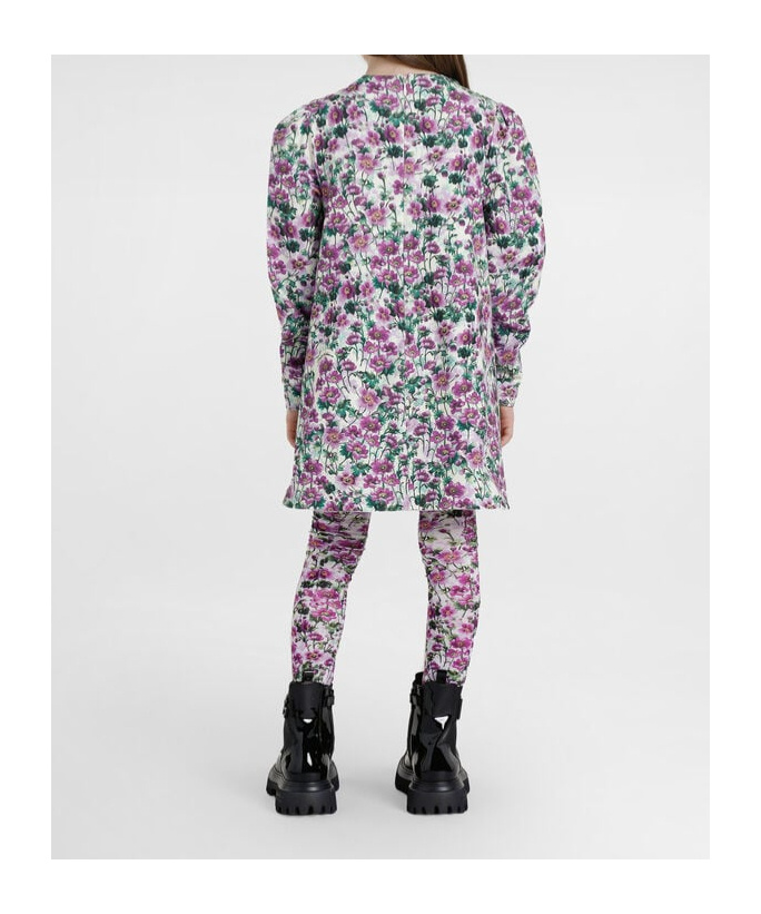 Dolce & Gabbana Floral-print Dress In Multi