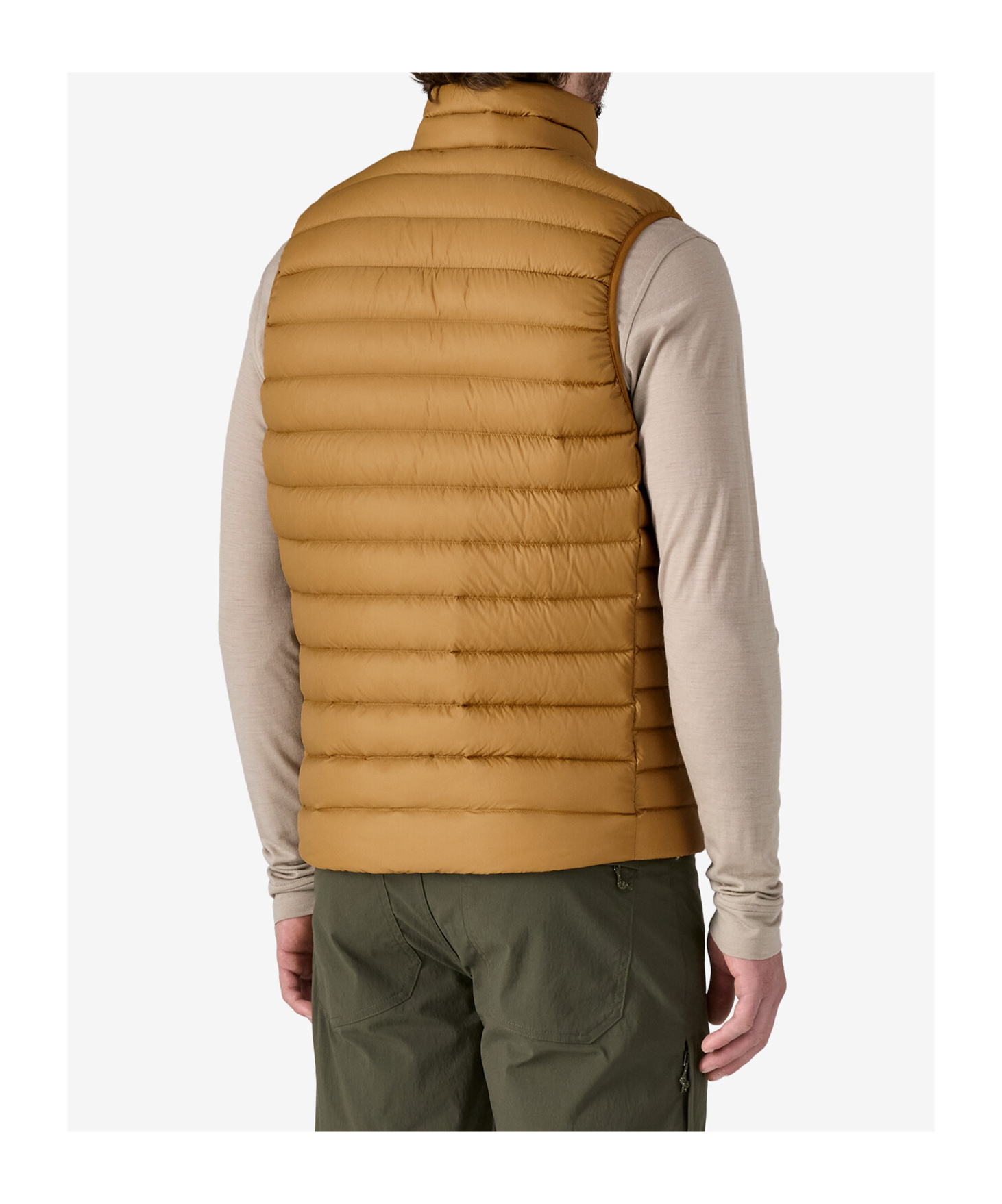 Patagonia Windshadow Hooded Jacket In Brown