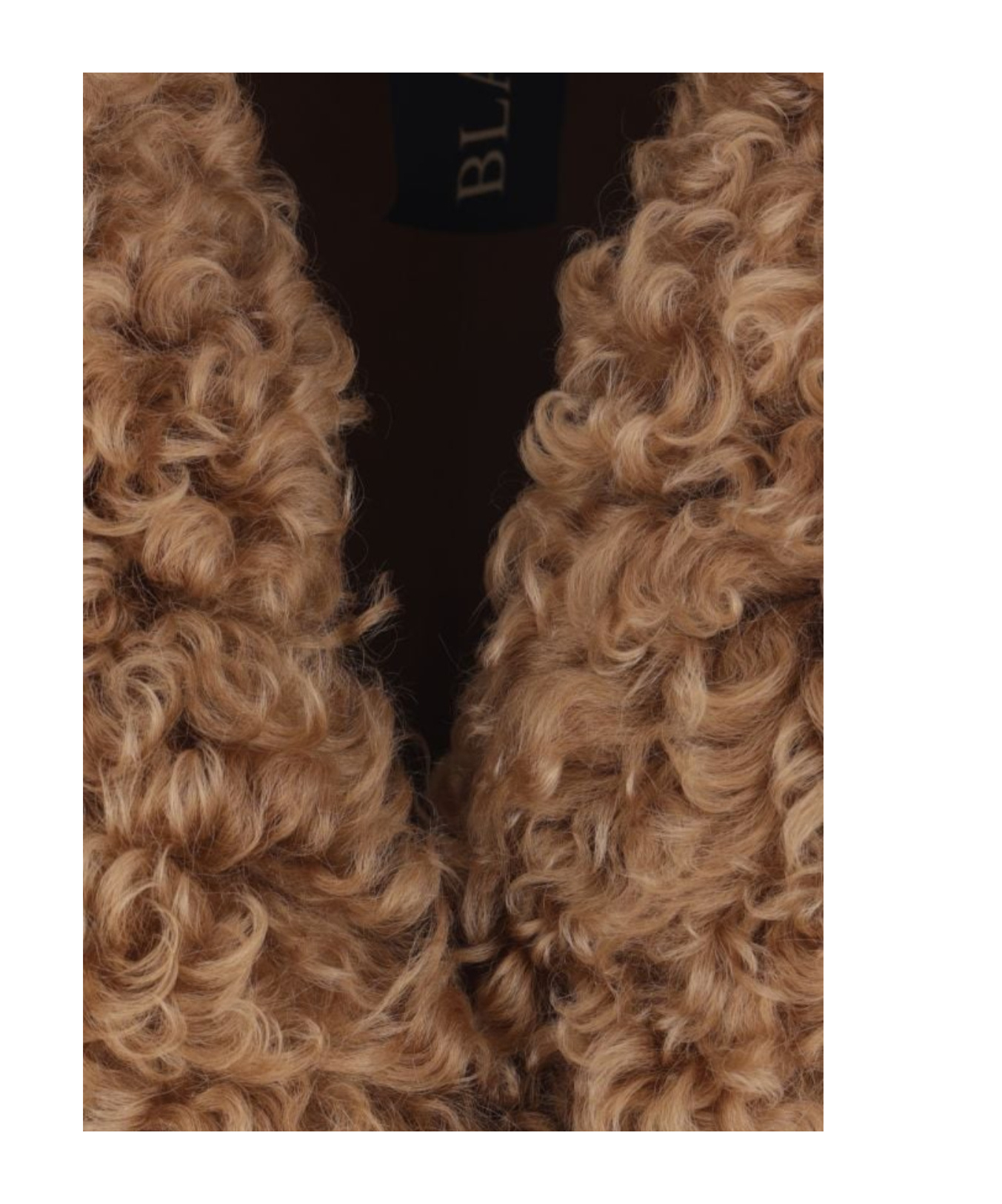 Blancha Curly Fleece Coat In Brown