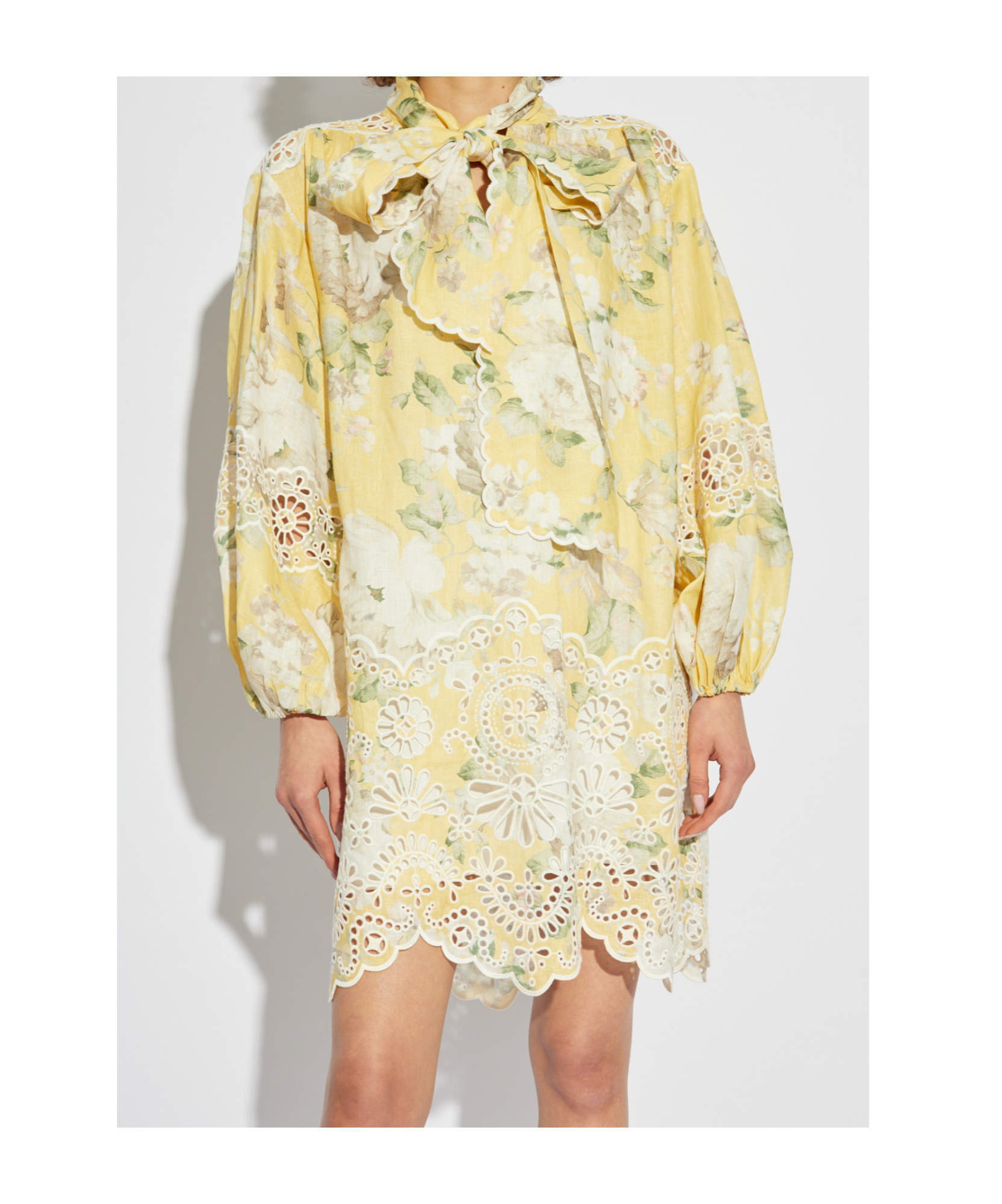 Zimmermann Broderie Anglaise-trimmed Floral-print Linen-gauze Mini Dress In Nude