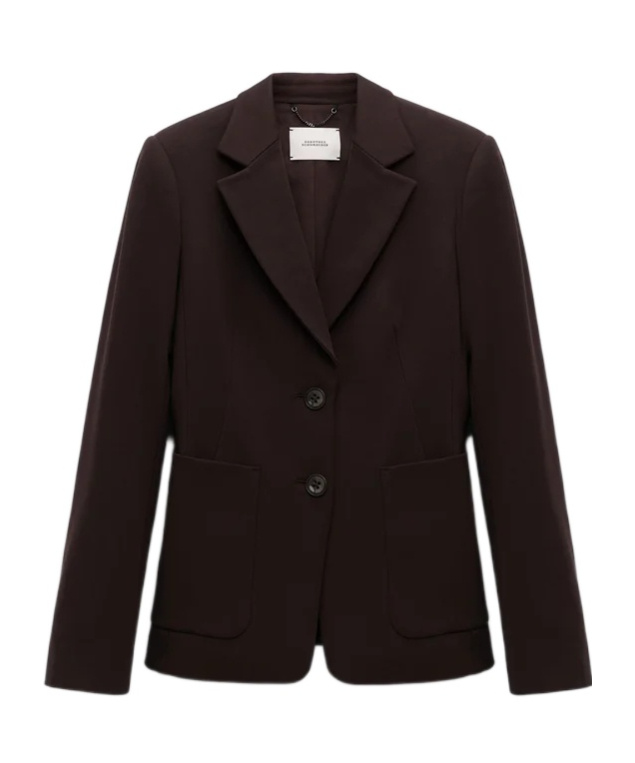 Dorothee Schumacher Button-fastening Patch-pocket Blazer In Brown