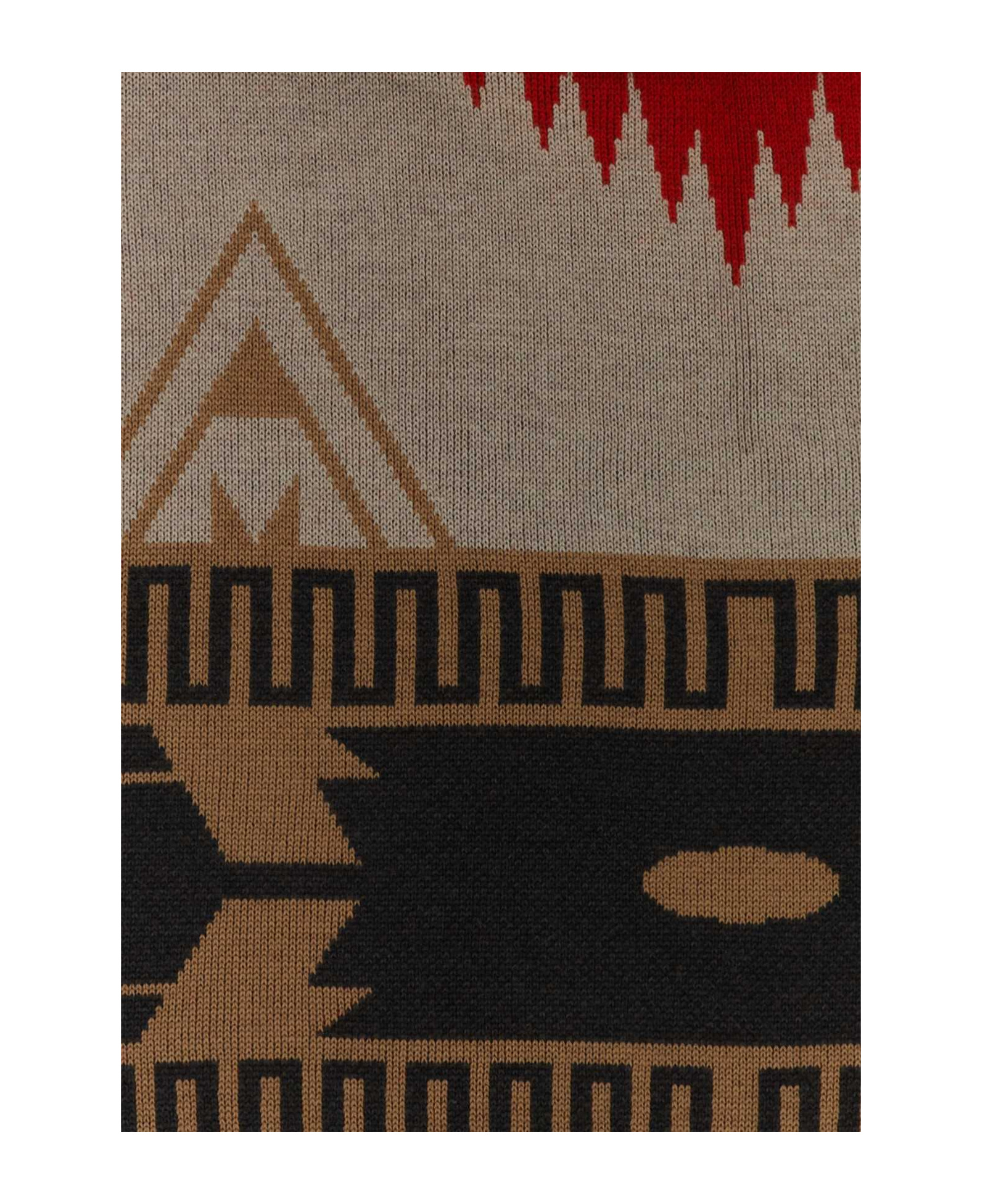 Alanui Jacquard Tassel Blanket In Multicolor