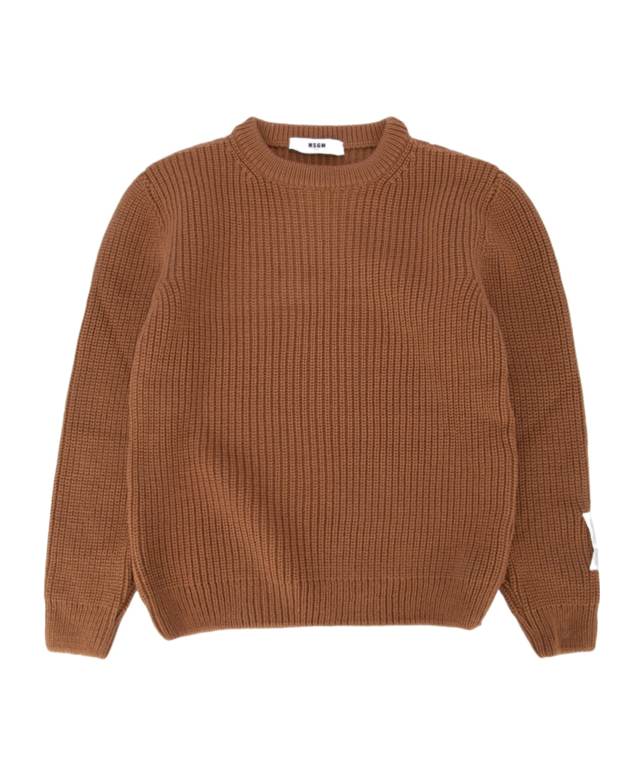 Msgm Kids Classic Logo Printed Sweatshirt In Brown