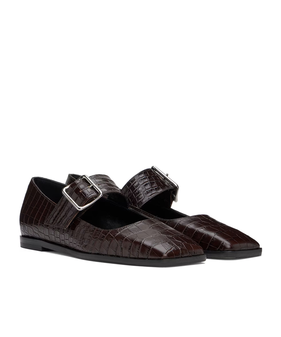 Aeyde Brown Sunny Ballerina Flats In Black