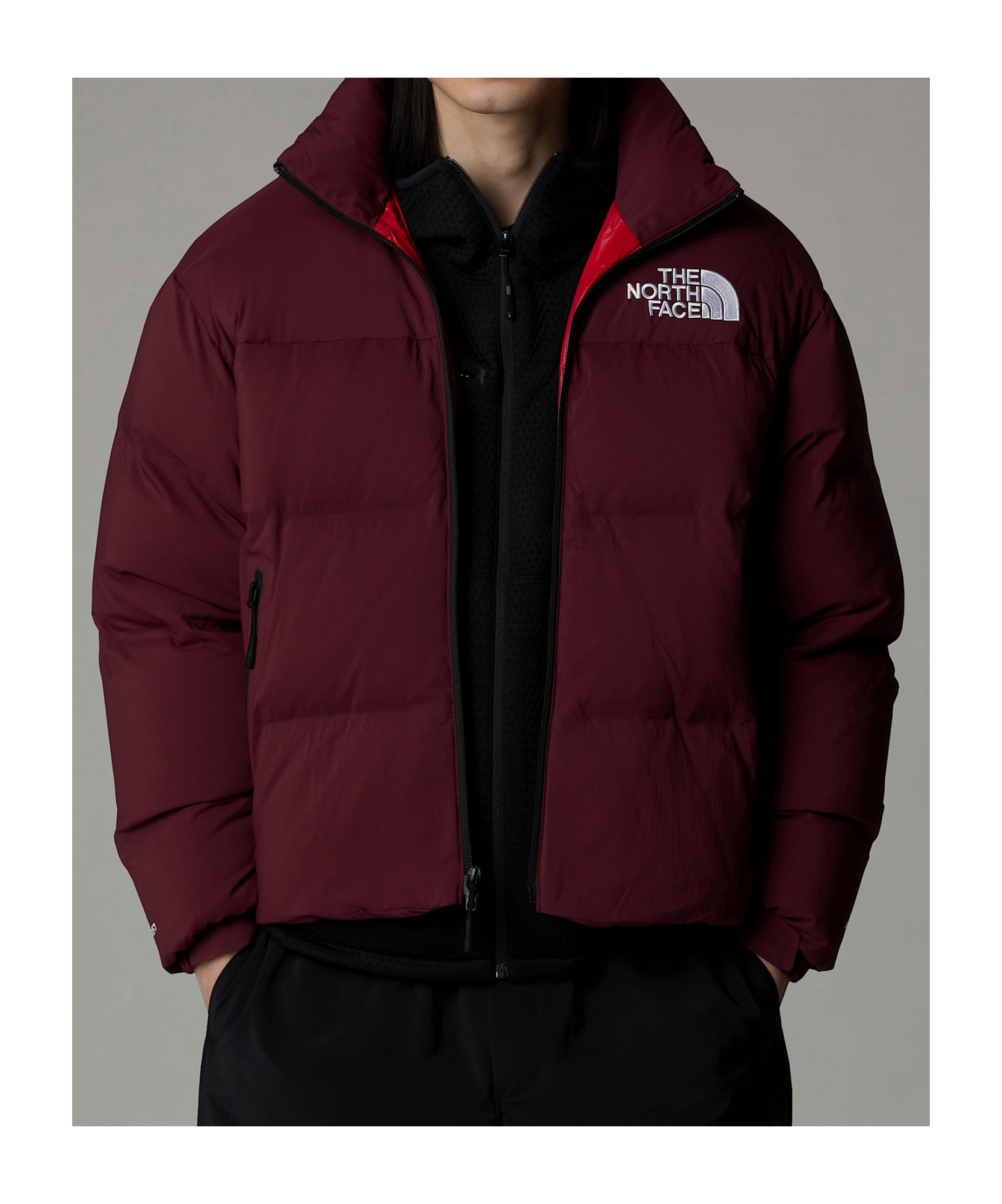 The North Face Long-sleeved Down Jacket In Brown